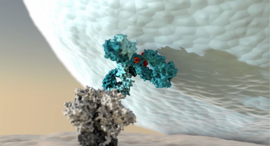 AI Model Accelerates Antibody Discovery—Boosting Pandemic Preparedness