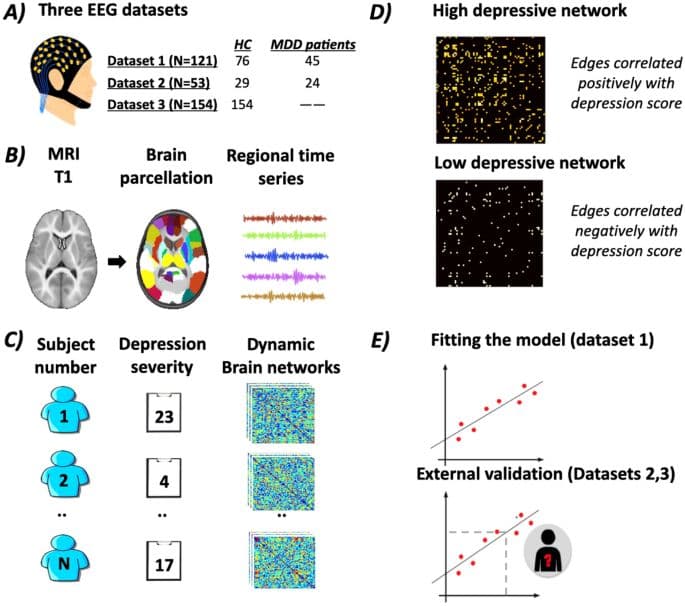 AI Breakthrough Predicts Depression Risk via Brain Network Analysis