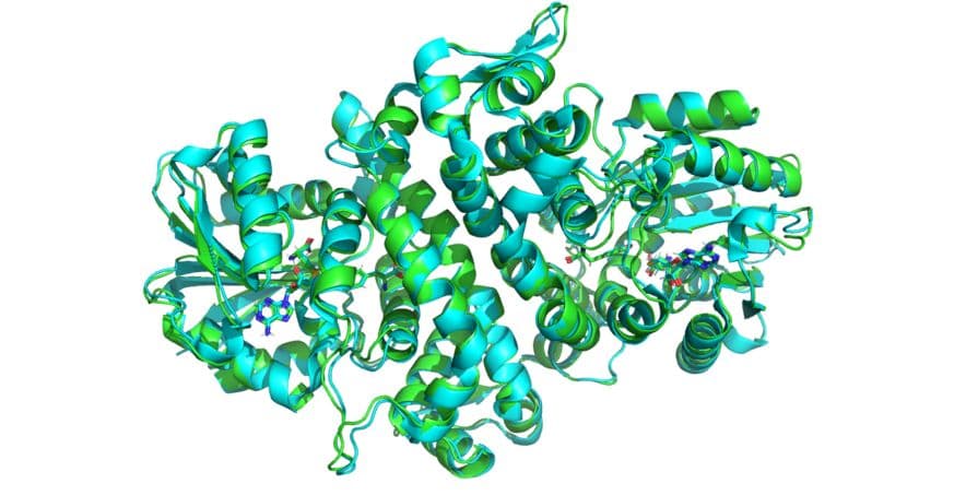 MIT's Boltz-1x AI Breakthrough Revolutionizes Protein Structure Prediction