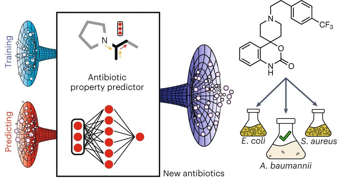 AI Breakthrough Discovers 6 New Antibiotics to Combat Drug-Resistant Superbugs